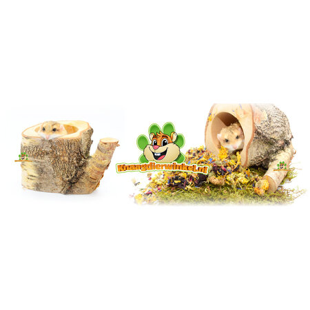 Auratus Cup Tree Trunk 10 cm for Rodents & Rabbits!