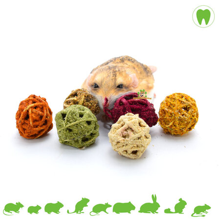 Boules de saule aux légumes, herbes et graines (6 pièces)