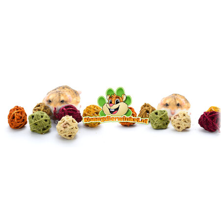 Weidenkugeln mit Gemüse, Kräutern und Samen, 6 Stück
