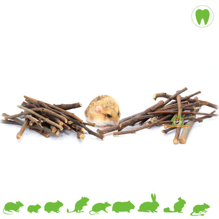 Gnawwood Pear branches