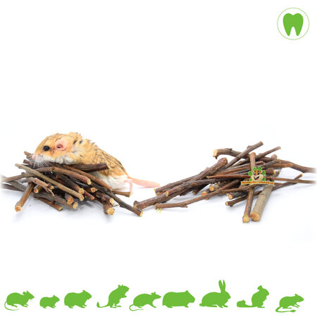 Mâcher du bois Branches de poirier
