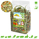JR Farm Potager pour rongeurs et lapins