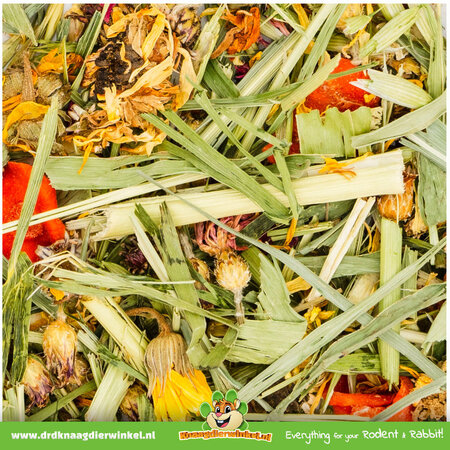 JR Farm Huerto para roedores y conejos