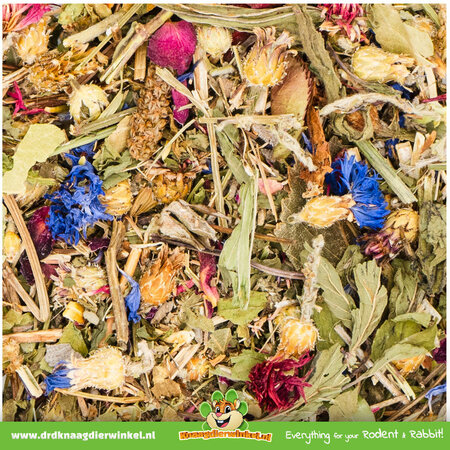 JR Farm Oasis herbal para roedores y conejos