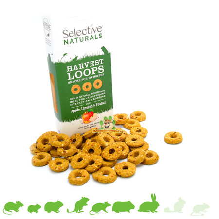 Supreme Selective Naturals Harvest Loops z jabłkiem, siemieniem lnianym i orzechami dla chomika