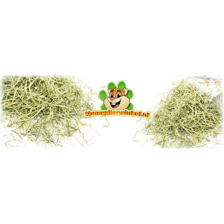 Versele-Laga Heno de timothy natural de 1 kg para roedores y conejos.