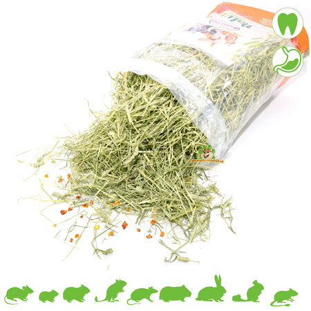 Versele-Laga Foin de Timothy Nature, carottes rouges et potiron, 500 grammes