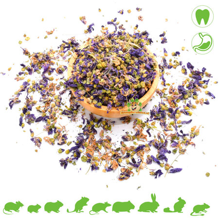Flores de malva 100 gramos para roedores y conejos