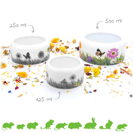 Ceramiczna miska do karmienia Meadow dla gryzoni i królików