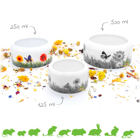 Ceramiczna miska do karmienia Meadow dla gryzoni i królików