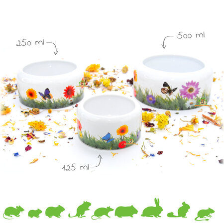 Bol d'alimentation des prés