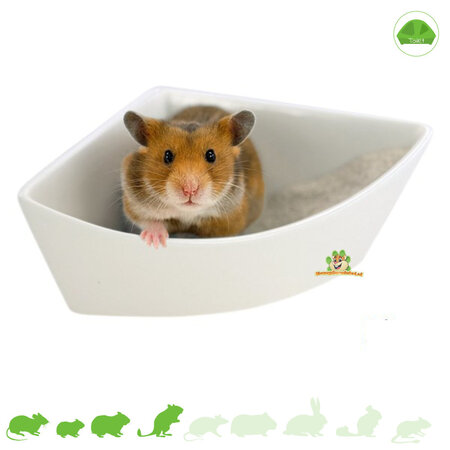 Rodipet Eck-WC aus Keramik 17 cm