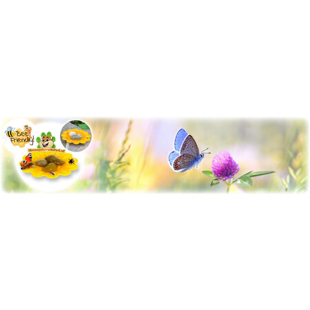 JR Farm Insektenbar und Schmetterlingsbar