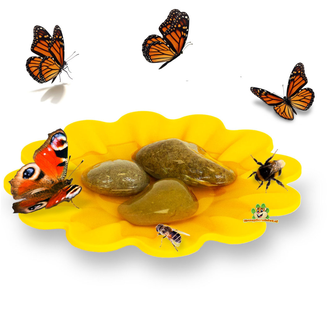 Papillons et abeilles dans le jardin