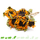 Knaagdier Kruidenier Dried Sunflower Harvest for Hamscaping