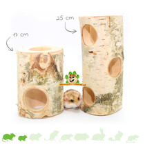 Birch Tree Trunk Tunnel