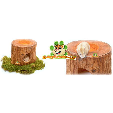 Boomstam Exotic Paradise Mahonie Huisje 11 cm