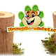 Futternapf aus Mahagoni, gefertigt aus einem Baumstamm der Kudus-Familie, 10 cm