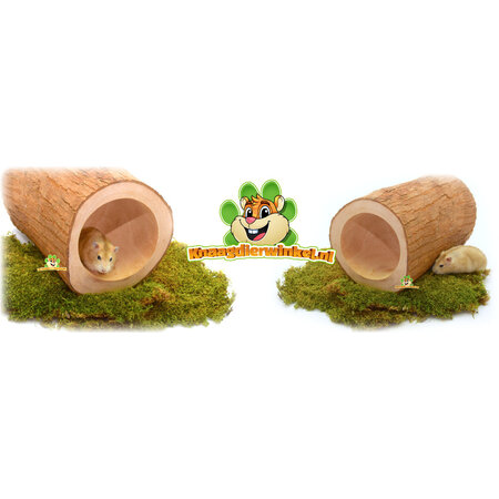 ¡Lampegan del túnel del tronco de un árbol para roedores!