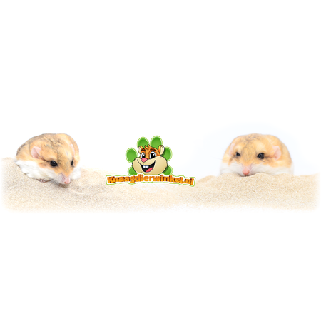 Beaphar Care Plus Chinchilla Badesand 1,3 kg