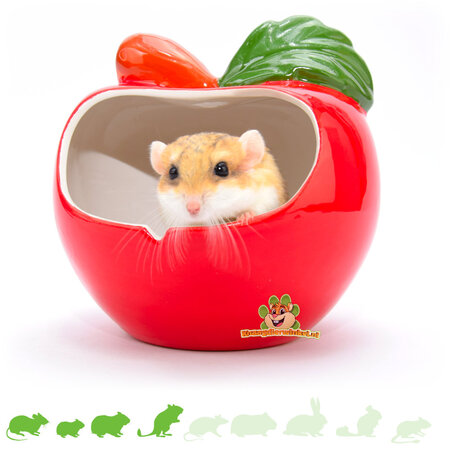 Maison de pomme en céramique grande taille 14 cm