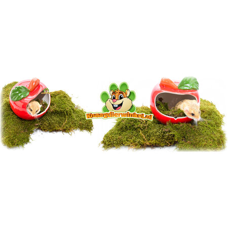 Duży ceramiczny domek na jabłka dla małych gryzoni 15 cm