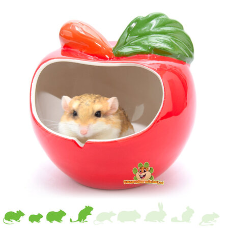 Appelhuis Keramiek Groot 15 cm