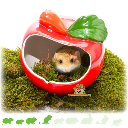 Maison de pomme en céramique grande taille 14 cm