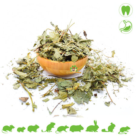 Feuilles de fraisier séchées pour rongeurs et lapins