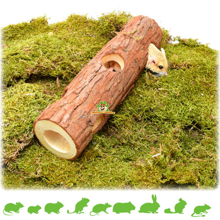 Tree Trunk Tunnel Brown