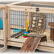 Trixie Deluxe Guinea Pig Enclosure with Wheels 150 cm