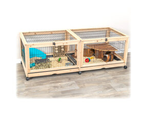 Cage pour cochon d'Inde