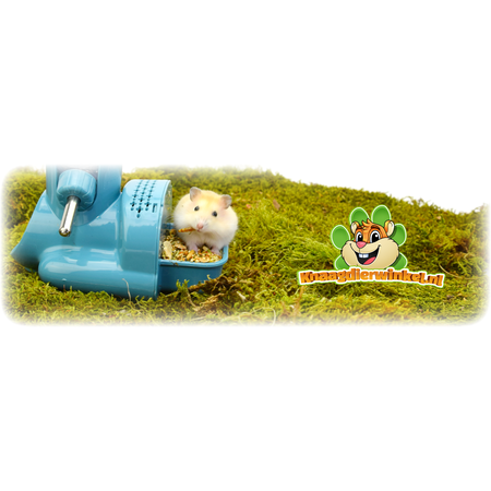 Système d'alimentation et d'abreuvement Hamtaro 15,5 cm pour souris et hamster nain