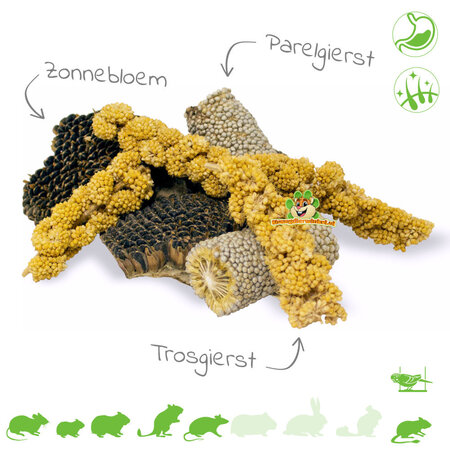 JR Farm Knabbern Sie Stücke von Sonnenblumen, Perlhirse und Spritzhirse