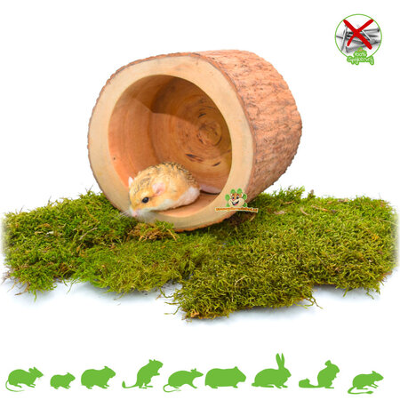 Tree Trunk Bali Cup for Rodents & Rabbits!