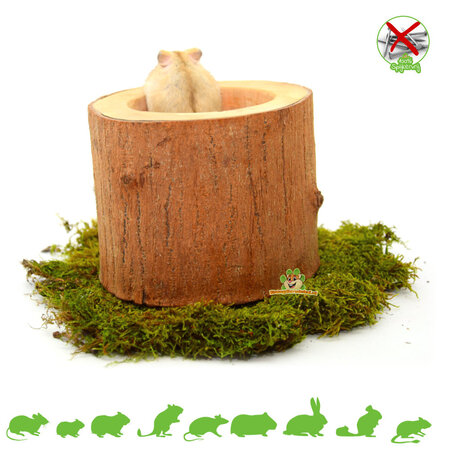 ¡Copa Kudus Tronco de Árbol para Roedores y Conejos!