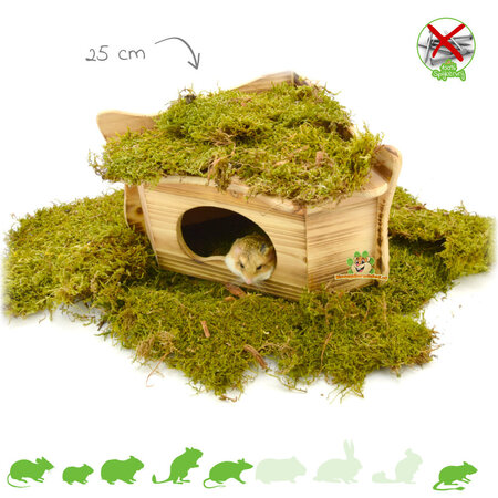 Zwartwoud Corner House for Rodents!