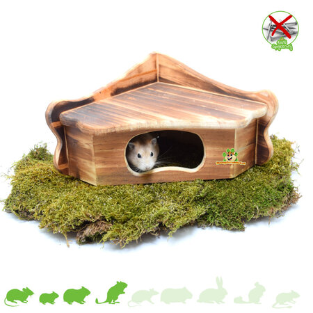 Zwartwoud Corner House for Rodents!