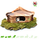 Maison d'angle en bois d'écorce de Blackwood, 17 ou 25 cm