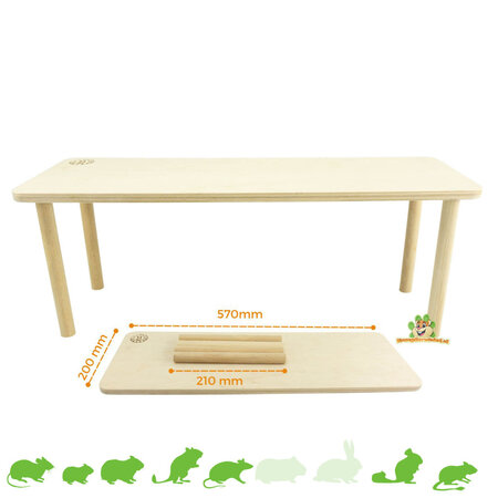 Getzoo Tor dla gryzoni 57 cm dla chomików, myszy i myszoskoczków