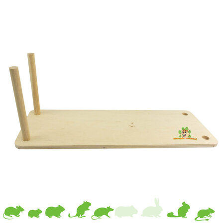 Getzoo Circuit de course pour rongeurs de 57 cm pour hamsters, souris et gerbilles