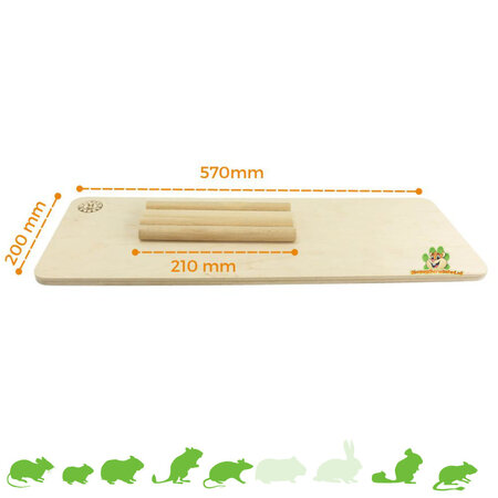 Getzoo Piste de course pour rongeurs 57 cm