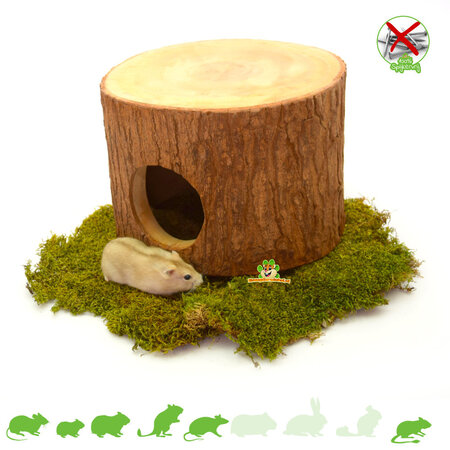 Gajah-Holz für Nagetiere!