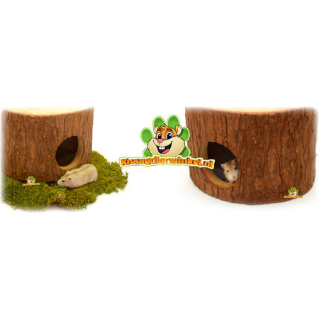 Boomstam Gajah voor Knaagdieren!