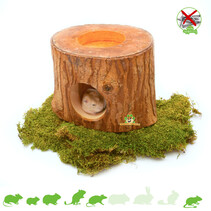 Tree trunk Exotic Paradise 11 cm