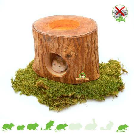 Boomstam Exotic Paradise Mahonie Huisje 11 cm