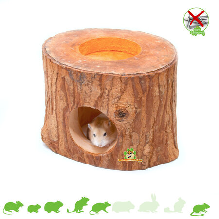 Tree Trunk Exotic Paradise for Rodents!
