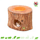 Boomstam Exotic Paradise Mahonie Huisje 11 cm