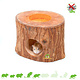 Tree Trunk Exotic Paradise for Rodents!