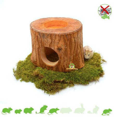 Exotisches Paradies-Mahagonihaus aus Baumstamm, 11 cm